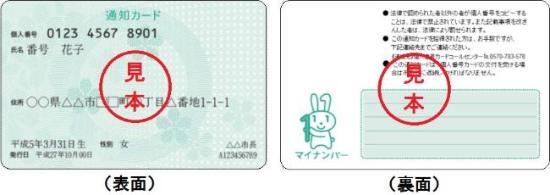 通知カードの表面と裏面の画像