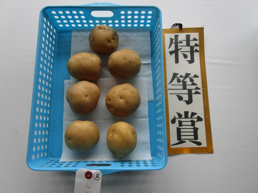 tokubetu