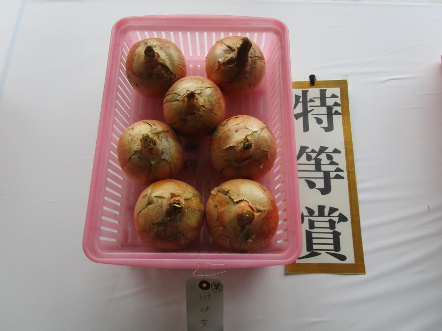 tokubetu