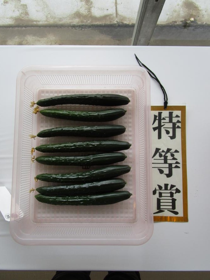 特賞きゅうり