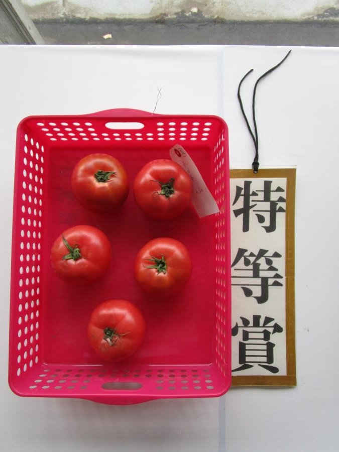 特賞トマト