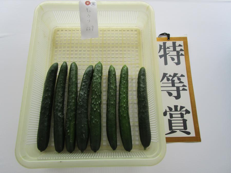 tokubetu