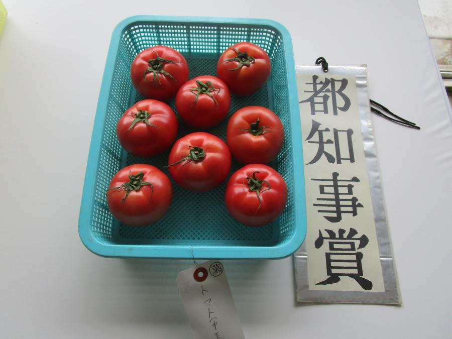 toshizi