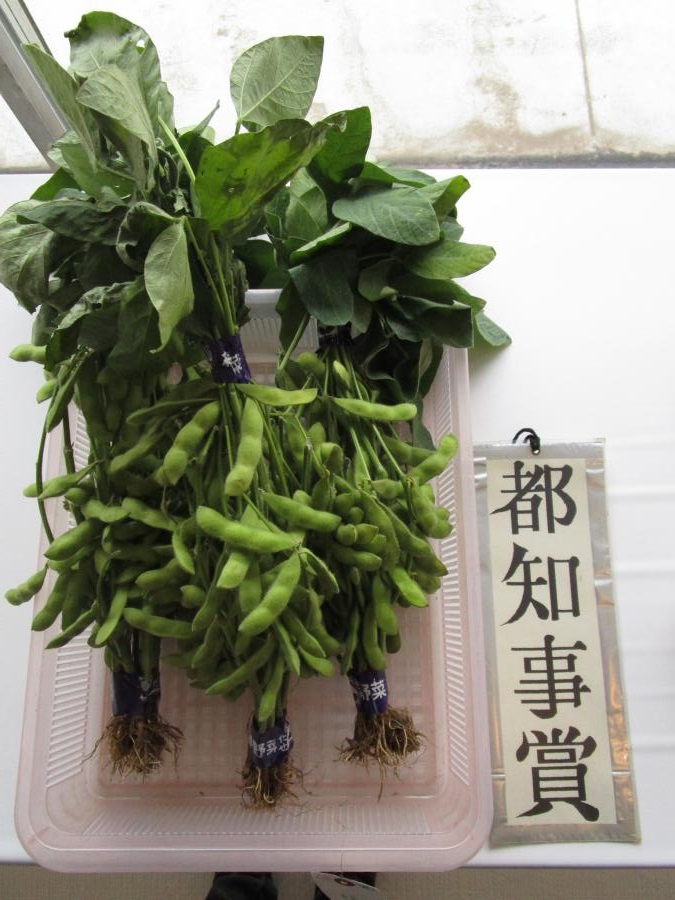 都知事
