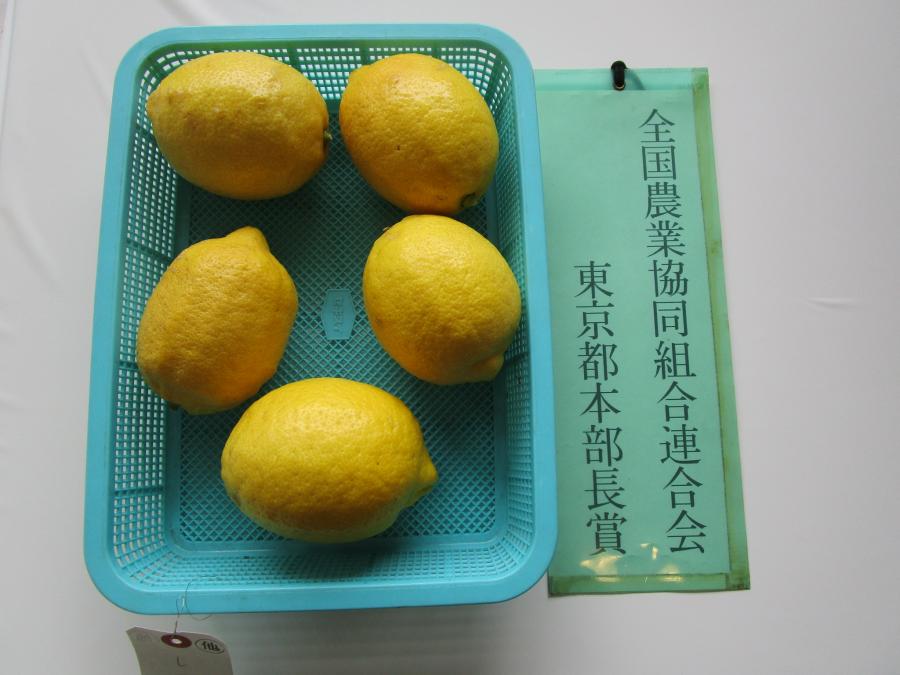 zennnou