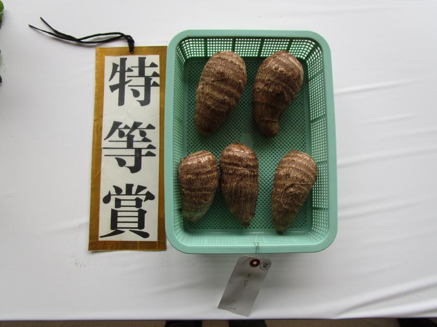 toku