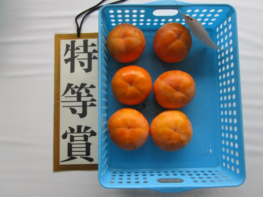 toku