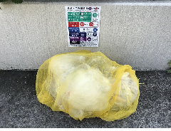 防鳥ネットの写真