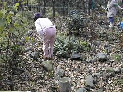 駒場野公園の落ち葉ンク活動の写真