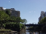 目黒川からの景色の写真