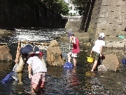 川に入って魚を捕る様子の写真