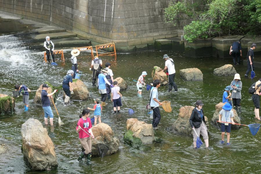 R7_ikimonohakkenntainoyousu