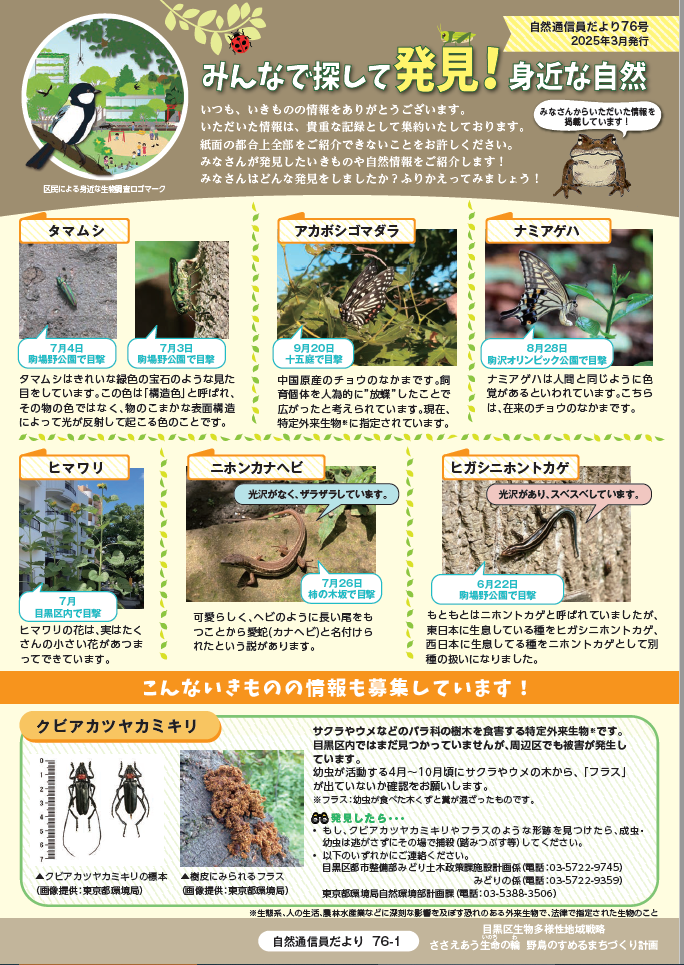 第76号のサンプル画像