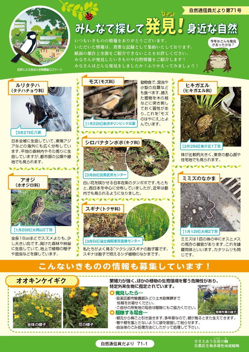 第71号のサンプル画像