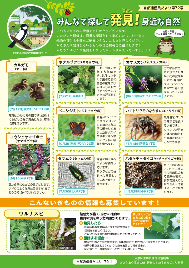 第72号のサンプル画像