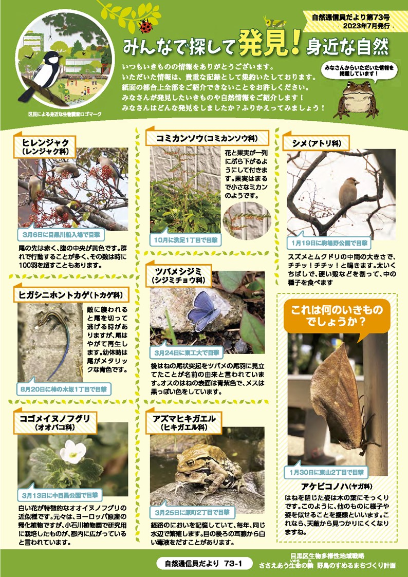 第73号のサンプル画像