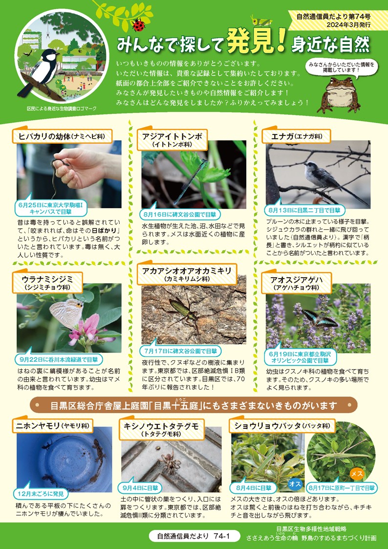 第74号のサンプル画像