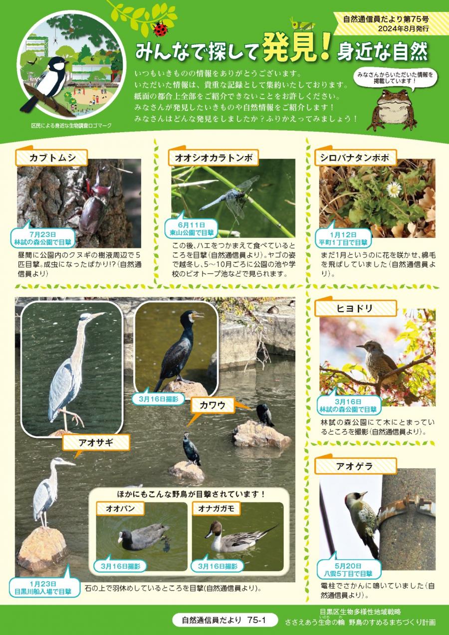 第75号のサンプル画像