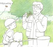調査会のイラスト