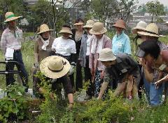 公園内で草花の手入れの実習をしている写真