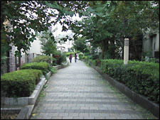蛇崩川緑道の写真