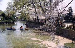 弁天池の写真