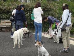 活動の様子5