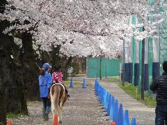 ポニー乗馬（引き馬）