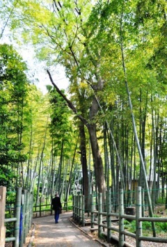 すずめのお宿緑地公園の写真