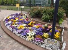 グリーンクラブ花壇の写真