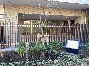 創立60周年を記念して植樹された姫こぶしの木を閉校記念碑の横に移植しました。