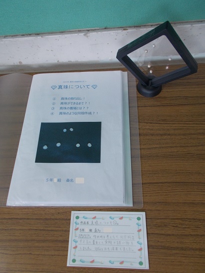 桑野さんの作品