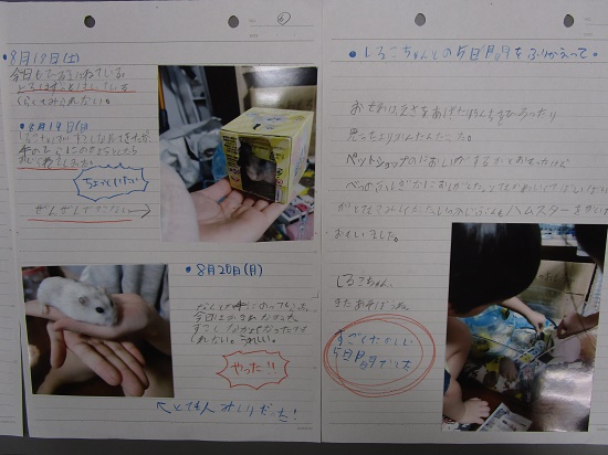 舩山さんの作品
