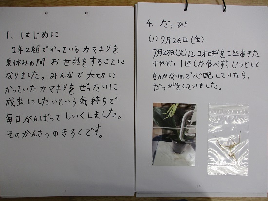 喜多さんの作品