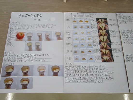 上田さんの作品