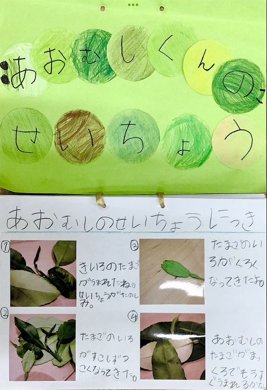 坪井さんの作品