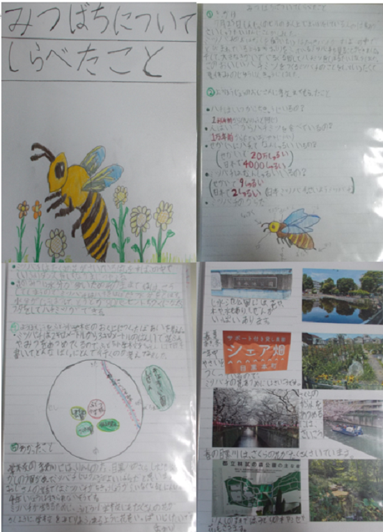 須磨さんの作品