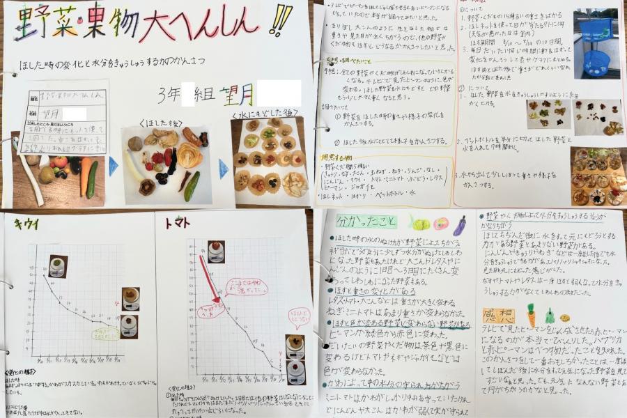 望月さんの作品