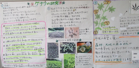 田中さんの作品