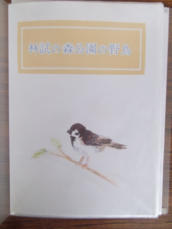 入江さんの作品