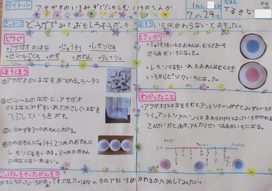 照喜名さんの作品