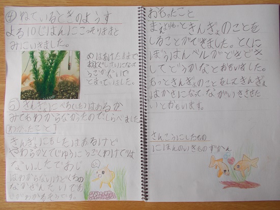 行方さんの作品