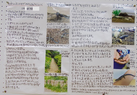 浅見さんの作品