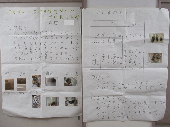 吉田さんの作品