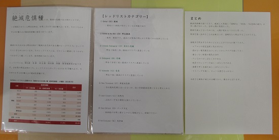 岡さんの作品