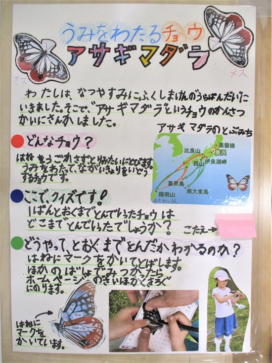 白江さんの作品