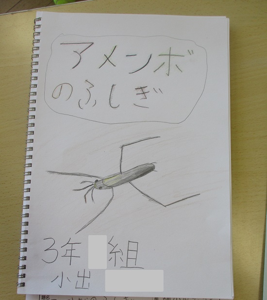 小出さんの作品