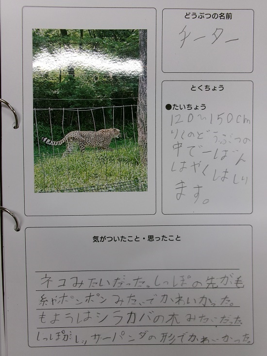 齋藤さんの作品