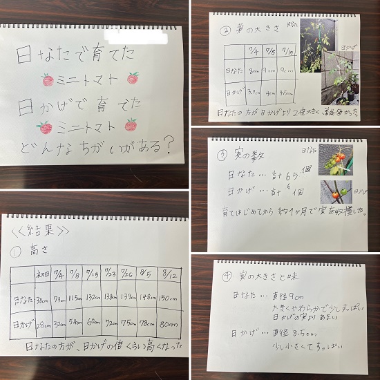 宮田さんの作品