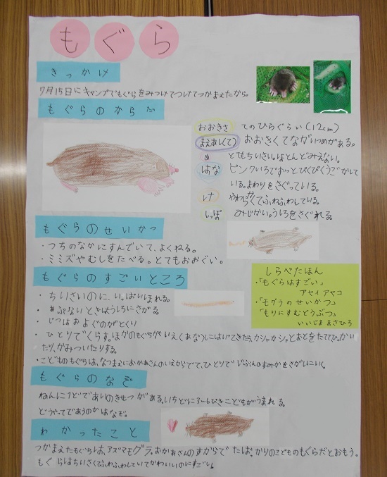 馬渕さんの作品